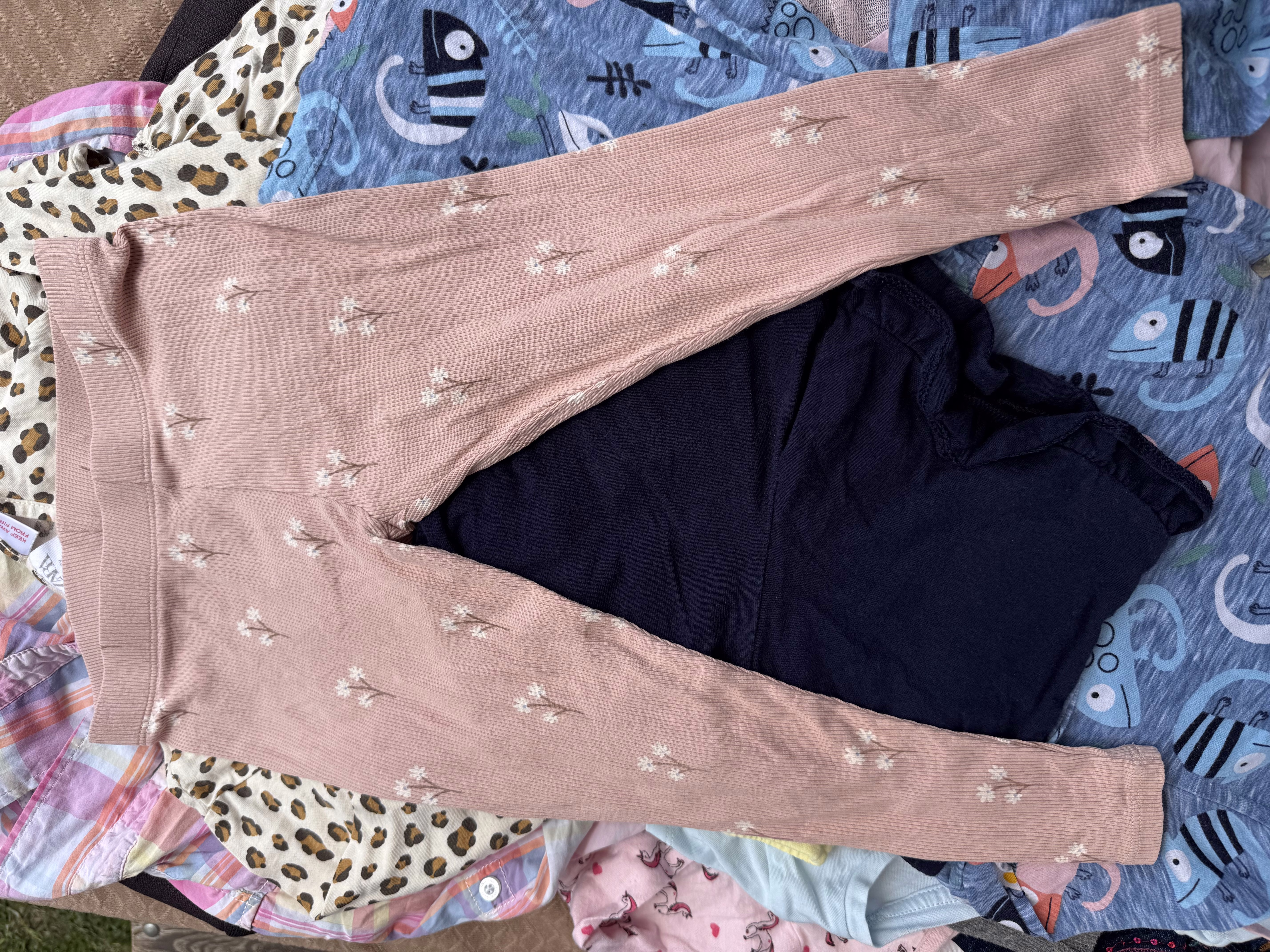 Одежда