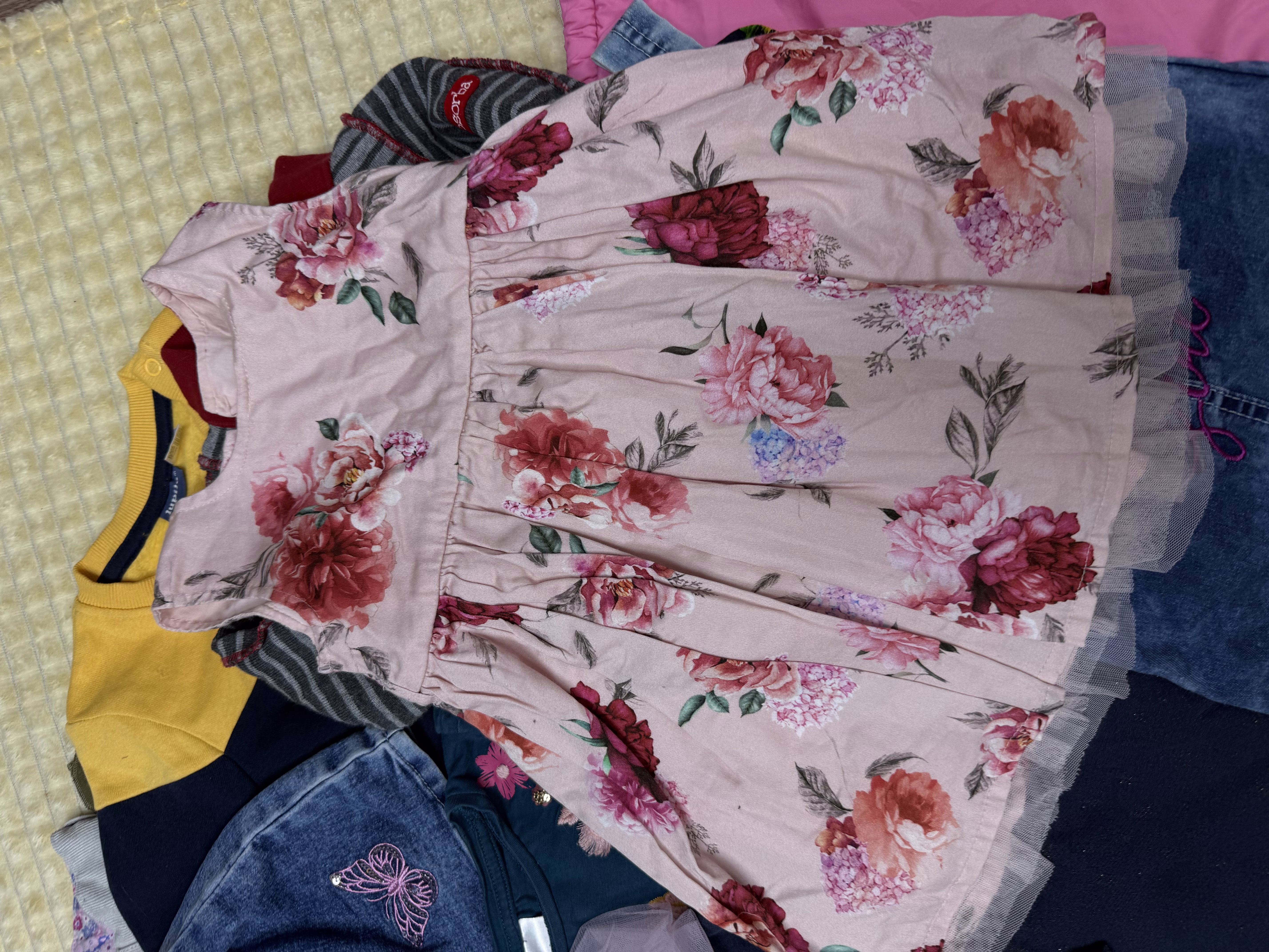 Одежда